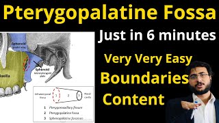 Pterygopalatine fossa  boundaries  content  communications pterygopalatinefossa pterygopalatine [upl. by Larissa691]