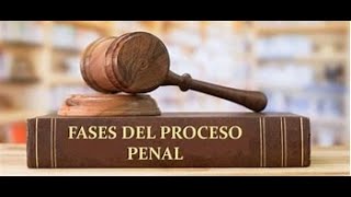 15 Correcciones Disciplinarias y Medios de Apremio [upl. by Phelgen]