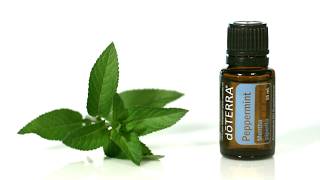 doTERRA Peppermint Oil [upl. by Forlini]