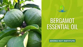 Bergamot Essential Oil  Bergamot Essential Oil Benefits [upl. by Snow978]