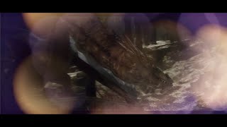 Bilbo amp Smaug  Smaug Introduces Himself in Song Form [upl. by Eenafit184]