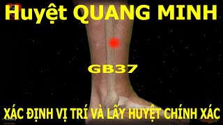 GB37  Huyệt Quang minh  Kinh Túc thiếu dương đởm  Acupoint VIKUDO [upl. by Leachim554]