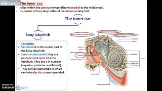 The Ear 5  The Inner Ear  Dr Ahmed Farid [upl. by Jodie]