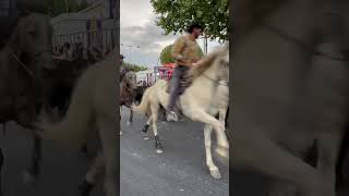 Bandido de 120 taureaux à Aimargues [upl. by Enail]