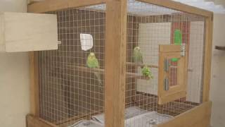 Mini Bird Cage for Parakeets with recicled wood [upl. by Essinger397]