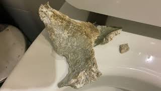 Calcium buildup blocking toilets [upl. by Bouldon]