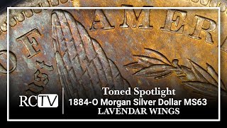 Toned Spotlight 1884O Morgan Silver Dollar MS63 “Lavendar Wings” [upl. by Roland]