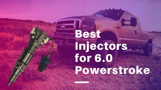 Best Injectors for 60 Powerstroke  Top 5 Injectors of 2020 [upl. by Yahska]