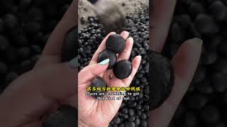 Cheap pulverized coal to do briquettes busy every day [upl. by Bak825]