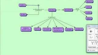 Tutorial Como utilizar CMap Tools Parte 2 subtitulado al españolwmv [upl. by Santa]