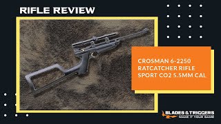 Crosman 2250 Ratcatcher Rifle Review [upl. by Yllaw525]