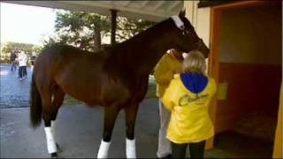 Blame Arrives at Claiborne [upl. by Dimitri]