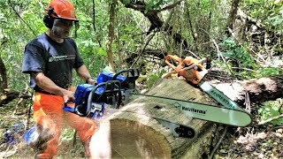 Dueling Chainsaws Farmertec Holzfforma G660 vs G444 [upl. by Adnesor]