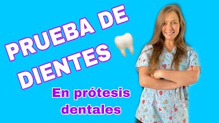 PRUEBA DE DIENTES en Prótesis Dental 24 [upl. by Anaeirb]