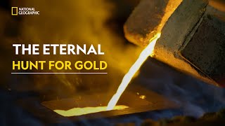 The Allure of Gold  The Quest For Gold  हिंदी  Full Episode  S1  E1  Nat Geo [upl. by Redvers565]