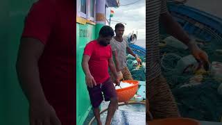 We Helped The Boat By Giving It Ice In The Deep Sea Shorts IndianOcean fishing [upl. by Ahsyak]