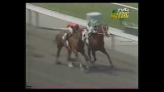 MATCH RACE  Quarter Horse vs Thoroughbred [upl. by Lletnahs]