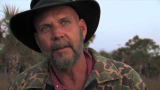 They Live in Trees skunk ape documentary [upl. by Padriac]