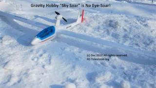 Sky Soar RC Glider is no Eye Sore From Gravity Hobby [upl. by Neelik26]