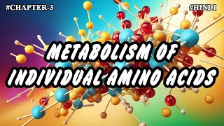 Chapter  3  Metabolism Of Individual Amino Acids Part3  Hindi [upl. by Horatia]