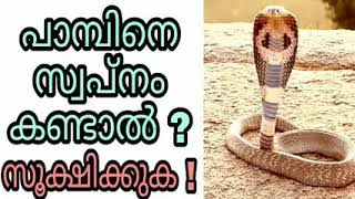 snake swapnam kandal swapna vyakyanam islam malayalam islamic speech phalam pambine sopna vakyanam [upl. by Niels183]