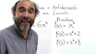 6 Primitiva o Antiderivada Cálculo Integral [upl. by Nutter528]