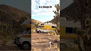 The OffGrid Cabin and Vintage RV of My Dreams [upl. by Ainigriv]