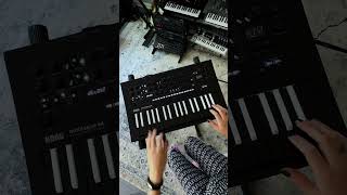 Mini Sound Demo TerrorKeys Preset on minilogue xd Inverted [upl. by Eeznyl]