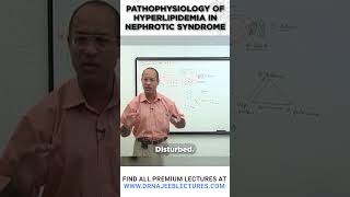 Pathophysiology Of Hyperlipidemia In Nephrotic Syndrome [upl. by Gilud47]