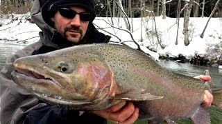 Float Fishing Steelhead [upl. by Ynetsed326]