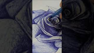 Stunning Ballpoint Pen Rose Drawing Step by Step Art Tutorial [upl. by Porte705]