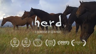 HERD  A Spiritual Journey FULL AWARD WINNING DOCUMENTARY [upl. by Airdnahc]