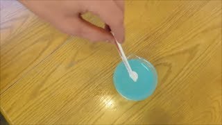 Chemistry Experiment 123 Electroplating Berean Builders [upl. by Marlo]