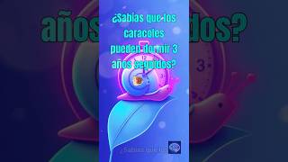 Asombroso ¡Los caracoles pueden dormir hasta 3 años 🐌💤 [upl. by Nissie]