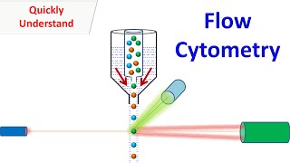 Flow Cytometry [upl. by Fish327]