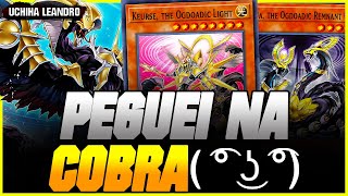 NOVO DECK RÉPTIL OGDOADIC TEM NOVA TRAP F2P APELONA  YUGiOh Duel Links [upl. by Pauly]