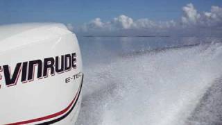 Evinrude Etec 115 [upl. by Curkell]