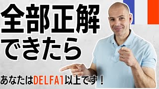 【フランス語】 初心者 練習問題 DELF A1 仏検3級 [upl. by Alcine625]