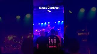 Tampa Deathfest 24 [upl. by Dash]