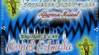 Zapateado EncabronadoAlacranes Musical [upl. by Krystal]