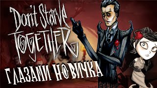 DONT STARVE TOGETHER глазами новичка [upl. by Denyse]