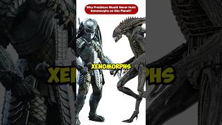 Why Predators Would Never Hunt Xenomorphs On Their Home Planet Shorts Viral [upl. by Ahsuat]