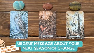 Urgent Message About Your Next Season Of Change  Timeless Reading [upl. by Catherina]