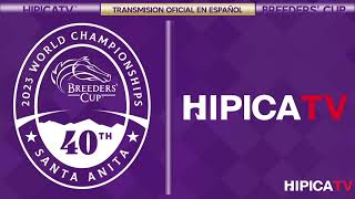 Hípica TV Livestream  Sabado 4 de Noviembre 2023 [upl. by Wurster835]