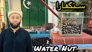 Singhara  Water Nut  Seasonal Fruit  Winter Food  Vlog  KXB [upl. by Odo]