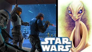 What Happened To KAMINO After Order 66  Clone Wars Explained [upl. by Dnalor]