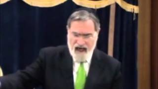 The Hidden Story of Chanukah  Rabbi Jonathan Sacks [upl. by Oirad]