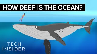 This Incredible Animation Shows How Deep The Ocean Really Is [upl. by Loralee]