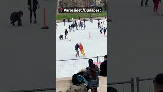 Budapeste Varosliget Park Buz Pateni mĂĽkemmel Ă§iftâť¤ď¸Źâ›¸ď¸Źâ›¸ď¸Ź [upl. by Aicerg]