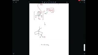 Mechanism for the Reduction of Camphor to Isoborneol [upl. by Kantos]